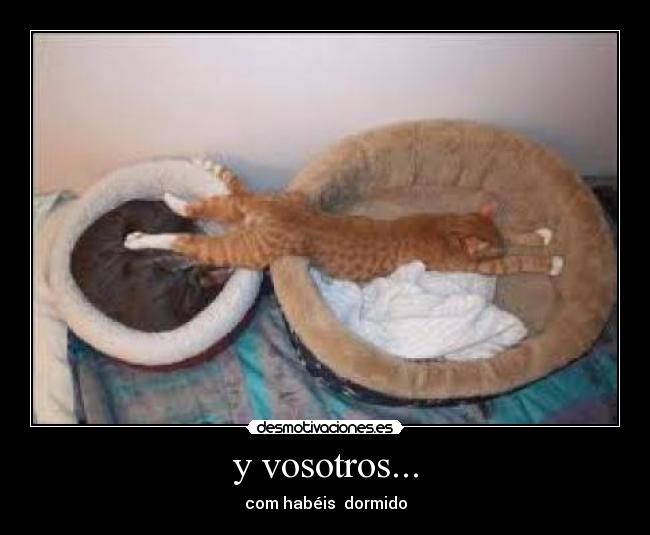 y vosotros... -