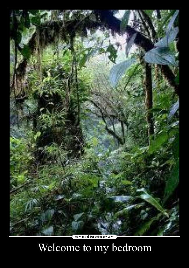 Welcome to my bedroom - 