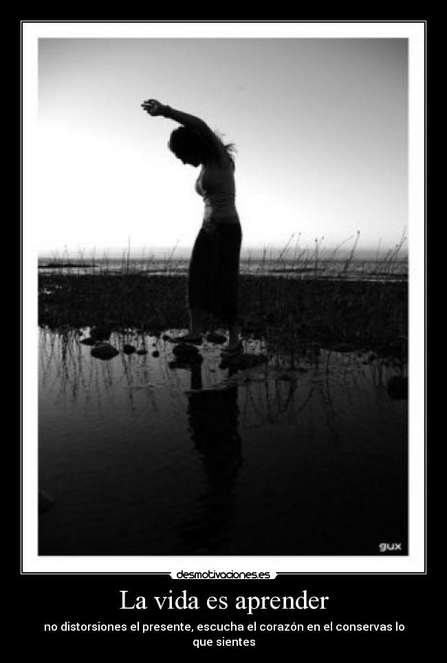 La vida es aprender - 