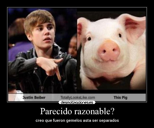 Parecido razonable? -