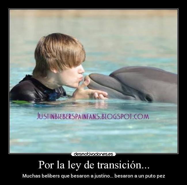 Por la ley de transición... -