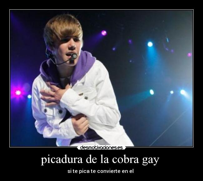 carteles justin bieber desmotivaciones