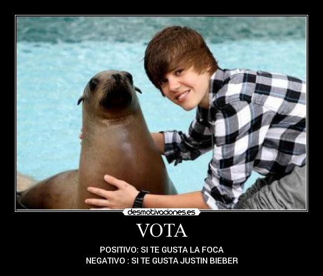 VOTA -