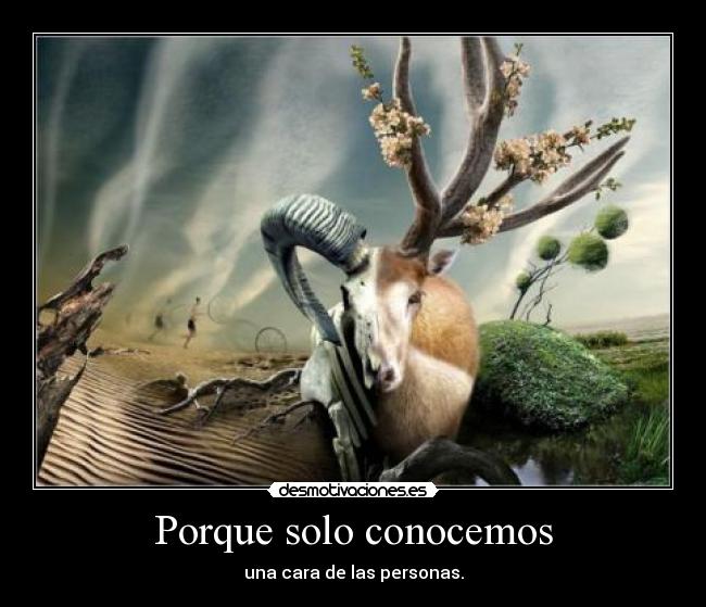 Porque solo conocemos - 