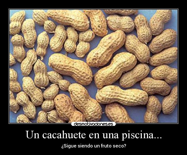Un cacahuete en una piscina... -
