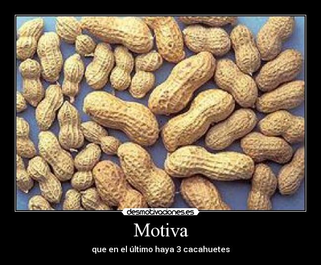 Motiva -