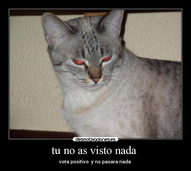 tu no as visto nada  - 