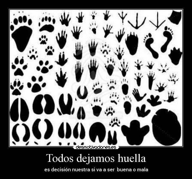 carteles todos dejamos huella sea buena mala desmotivaciones