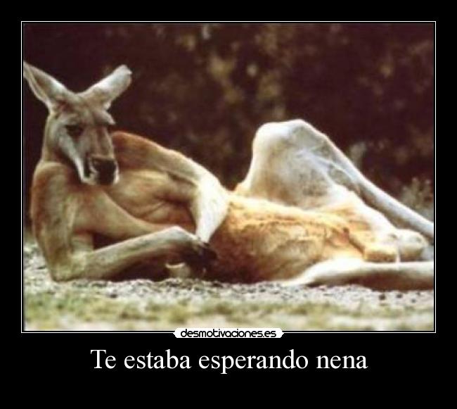 Te estaba esperando nena -