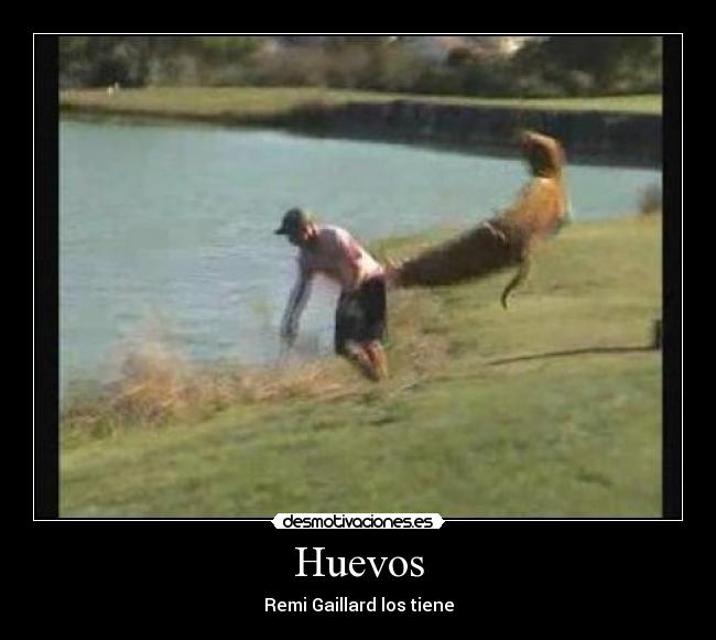 Huevos - Remi Gaillard los tiene