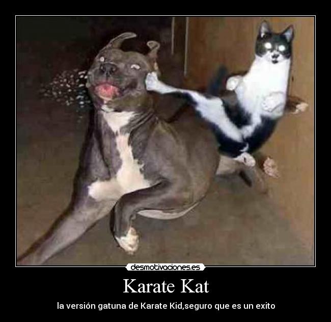 Karate Kat - 