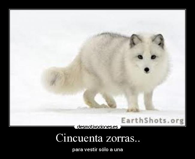 Cincuenta zorras.. -