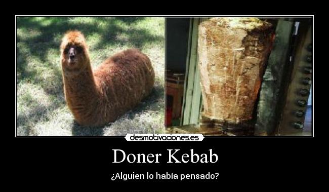 Doner Kebab -