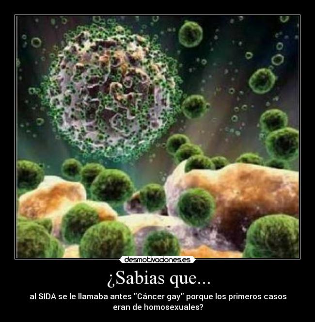 ¿Sabias que... -