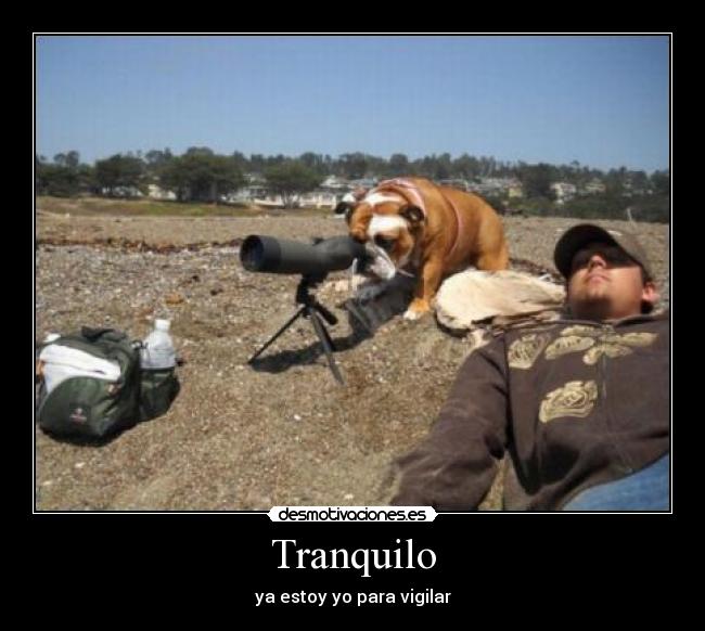 Tranquilo - 