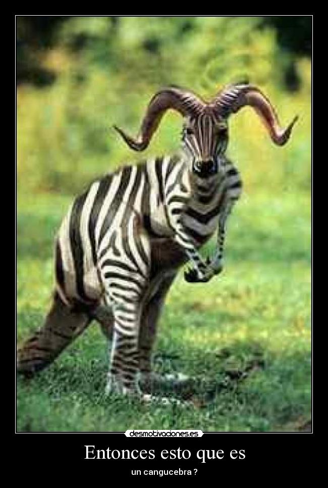 Entonces esto que es - 