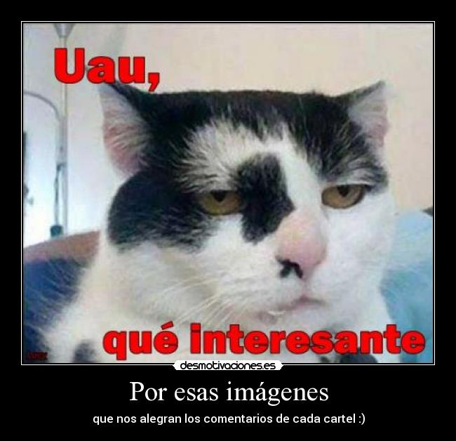 Por esas imágenes - que nos alegran los comentarios de cada cartel :)