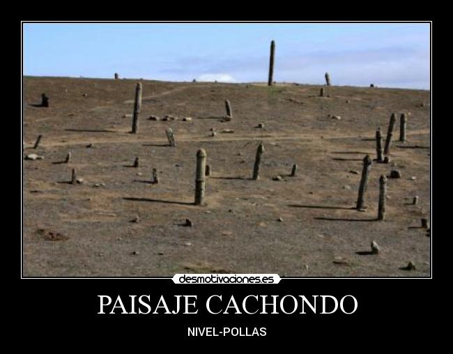 PAISAJE CACHONDO -