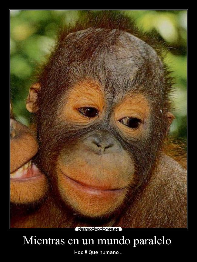 Mientras en un mundo paralelo -