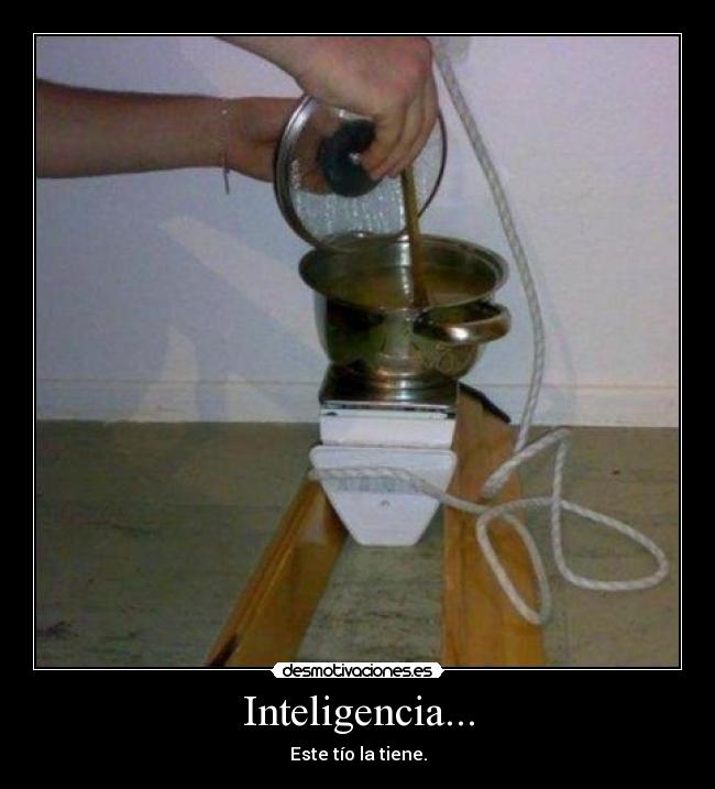 Inteligencia... -
