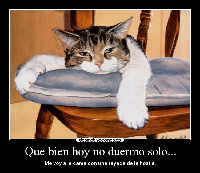 Que bien hoy no duermo solo... - Me voy a la cama con una rayada de la hostia.