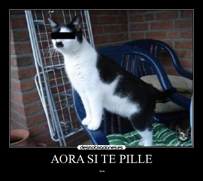 AORA SI TE PILLE - ¬¬