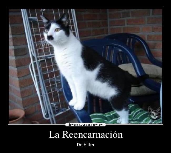 La Reencarnación -
