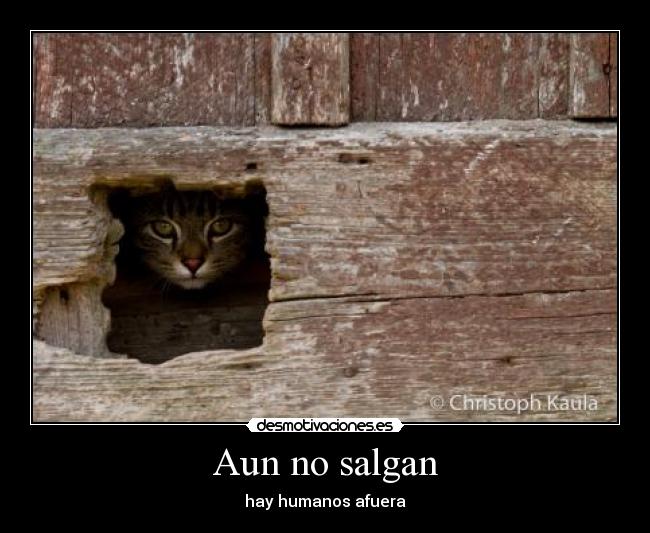 Aun no salgan - 