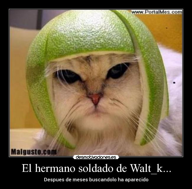 carteles ghost37 desmotivaciones