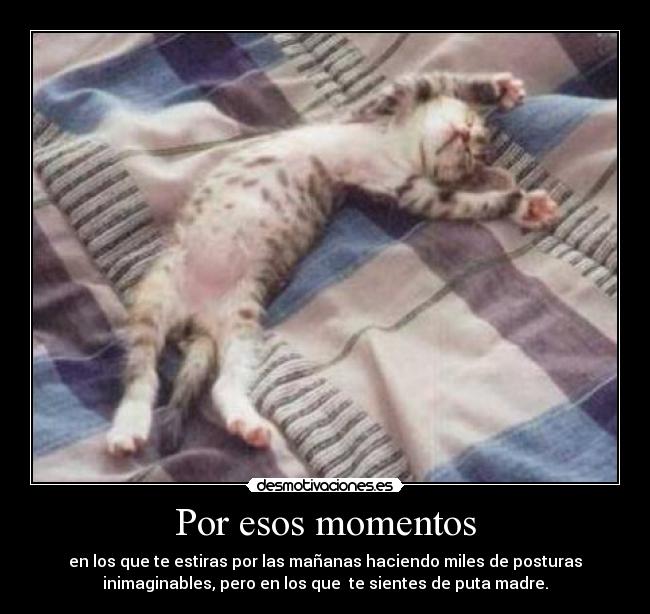 Por esos momentos - 