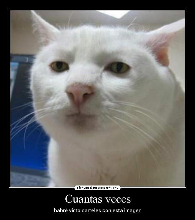 Cuantas veces - 