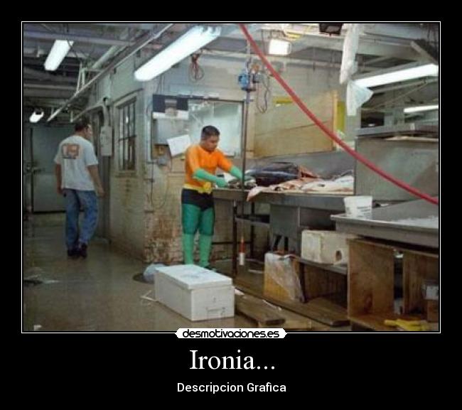 Ironia... - Descripcion Grafìca