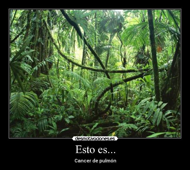 Esto es... - Cancer de pulmón
