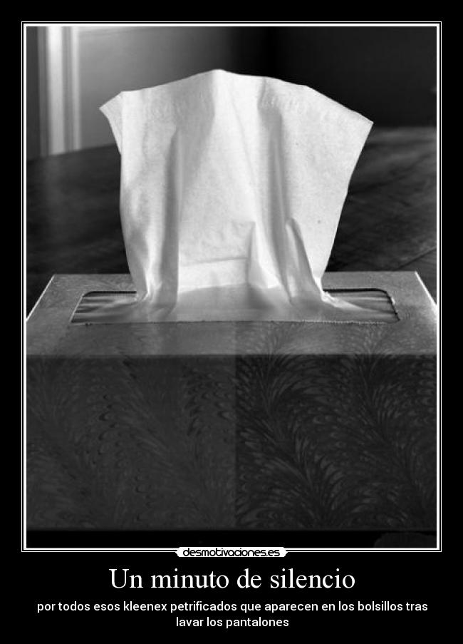 Un minuto de silencio - por todos esos kleenex petrificados que aparecen en los bolsillos tras
lavar los pantalones