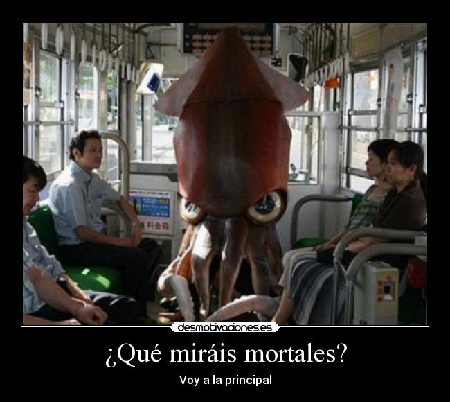 ¿Qué miráis mortales? - 