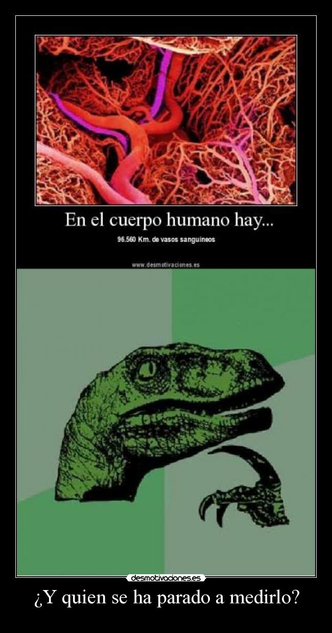 ¿Y quien se ha parado a medirlo? - 