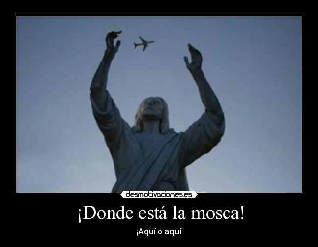 ¡Donde está la mosca! - ¡Aquí o aquí!