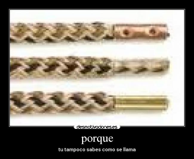 porque - tu tampoco sabes como se llama