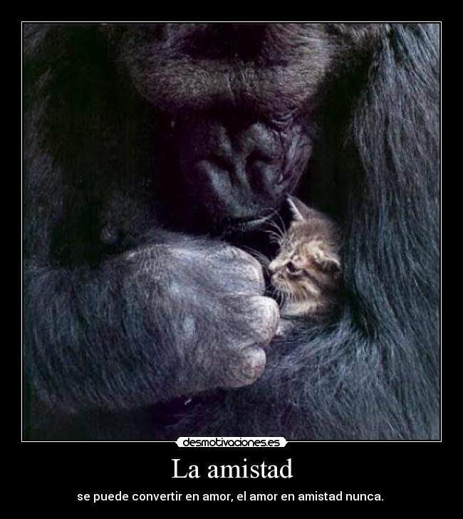 La amistad - se puede convertir en amor, el amor en amistad nunca. 
