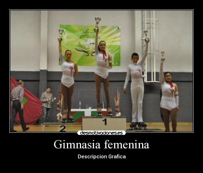 Gimnasia femenina - Descripcion Grafica
