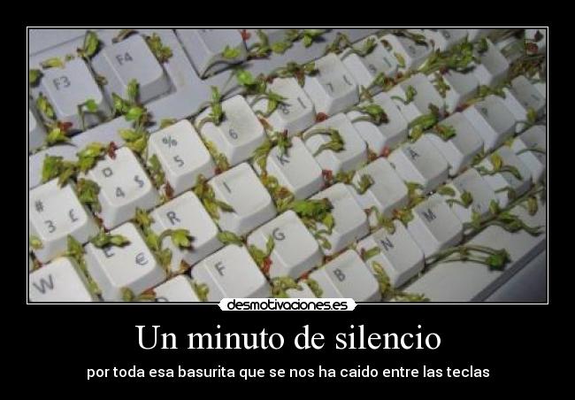 Un minuto de silencio -