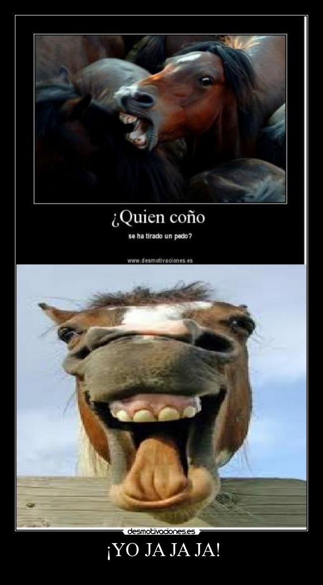 ¡YO JA JA JA! -