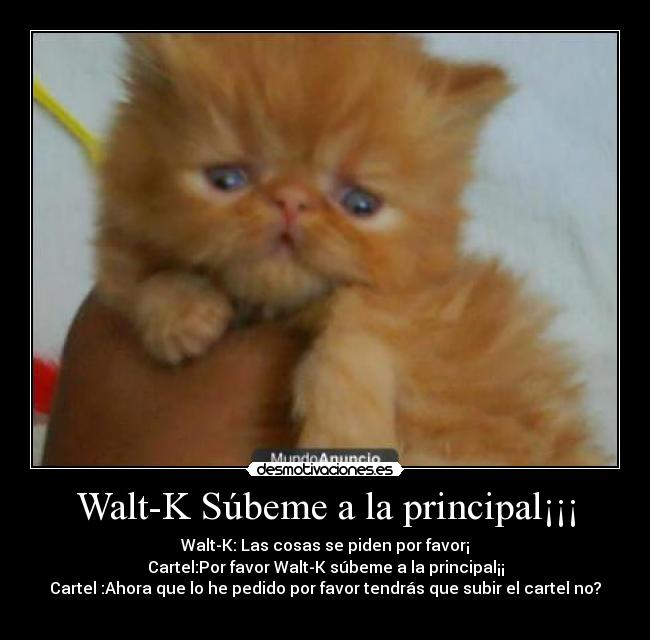 carteles walt-k desmotivaciones