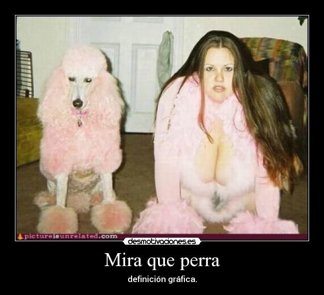Mira que perra - 