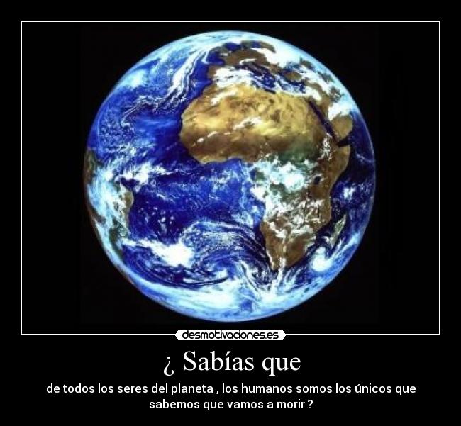 ¿ Sabías que - de todos los seres del planeta , los humanos somos los únicos que
sabemos que vamos a morir ?