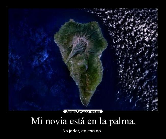 Mi novia está en la palma. -
