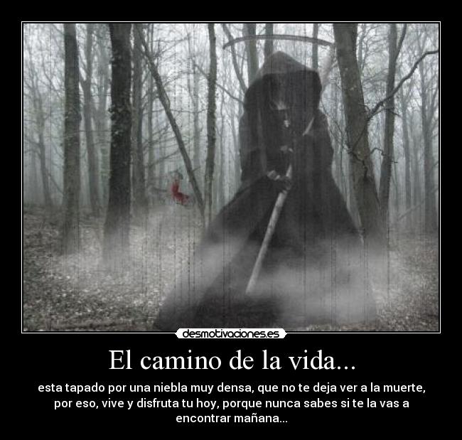 carteles vida camino muerte desmotivaciones