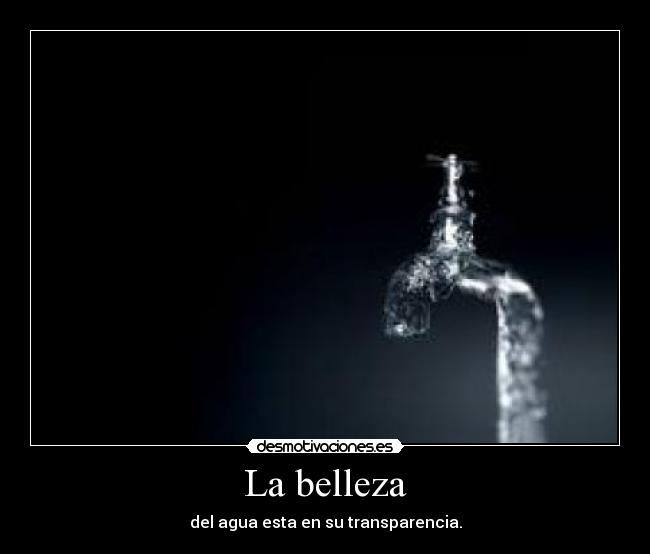 La belleza - del agua esta en su transparencia.