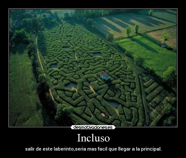 Incluso - 