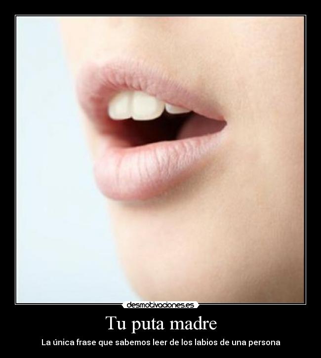 Tu puta madre - 